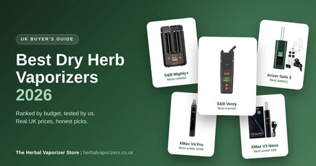 Best Dry Herb Vaporizers 2026