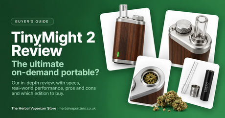 TinyMight 2 Review