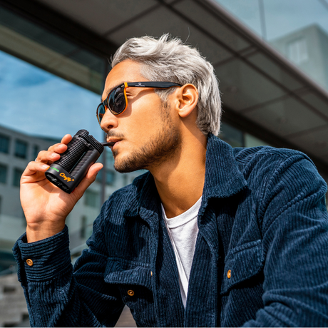 Storz & Bickel Crafty+ Vaporizer