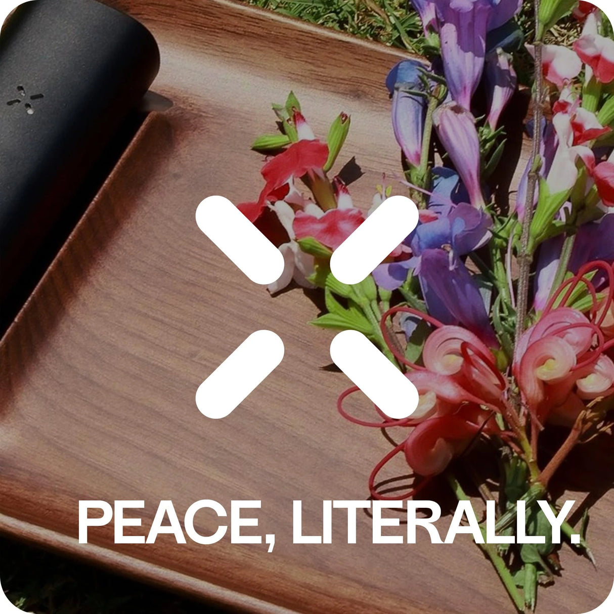 PAX Premium Maintenance Kit